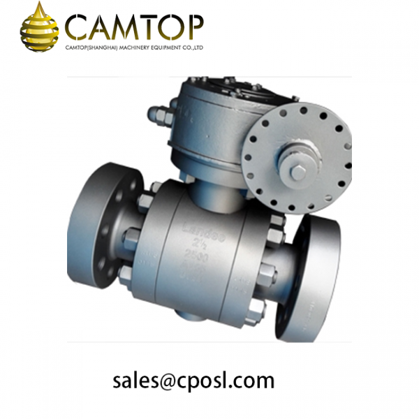 Astm A Ball Valve Inch Api D Rtj Camtop